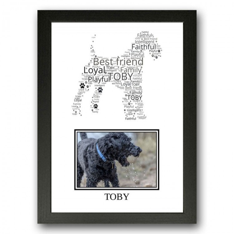 Kerry Blue Terrier Photo Print Gift
